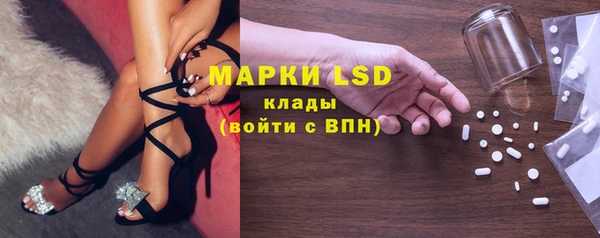 прущие грибы Балахна