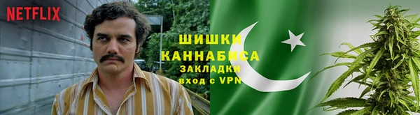 прущие крисы Аркадак