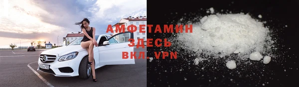 прущие грибы Балахна