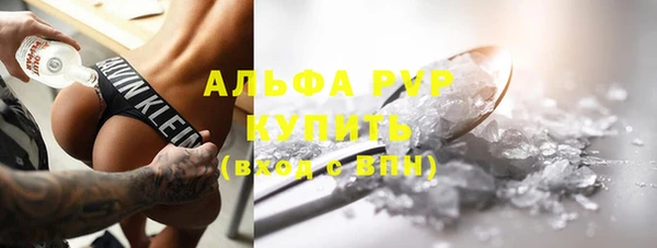 прущие грибы Армянск