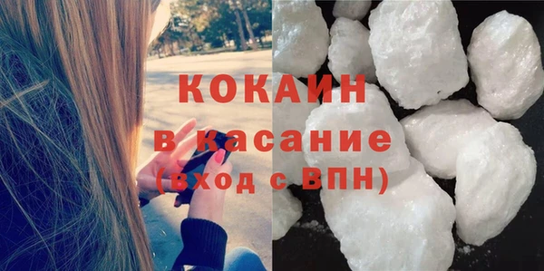 прущие грибы Армянск