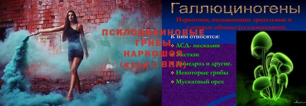 прущие грибы Армянск