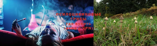 прущие крисы Аркадак