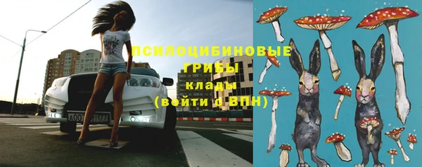 шишки Осташков